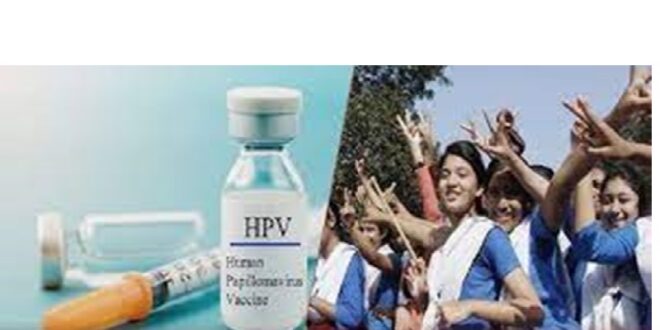 pHV