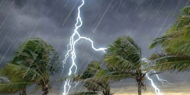 electric -----
