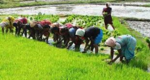 agri--620x330