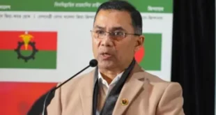 tarek-