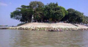 মোল হেড