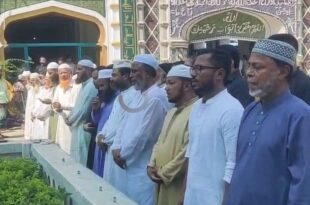 hajigonj -------